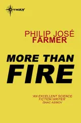 More Than Fire (English Edition)