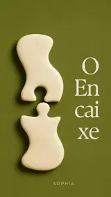 O Encaixe