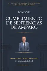capítulo por capítulo baixar Cumplimiento de sentencias de amparo (El juicio de amparo indirecto llevadito de la mano versión 2026) (Spanish Edition)