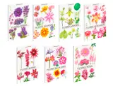 Coleção Cores da Natureza 2 - Completa - 7 Volumes
