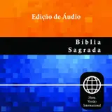Nova Versão Internacional, Audio Download