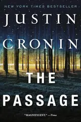 The Passage: A Novel (Book One of The Passage Trilogy) (English Edition)